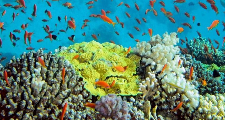 TOUR Phan Rang - Ninh Chu 3 DAYS 2 NIGHTS thumbs 1