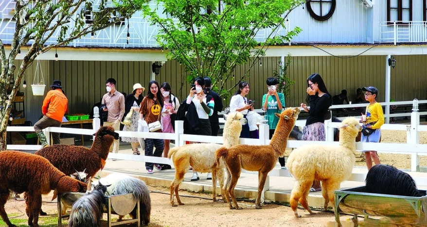 TOUR HA NOI - NHA TRANG - DA LAT thumbs 2