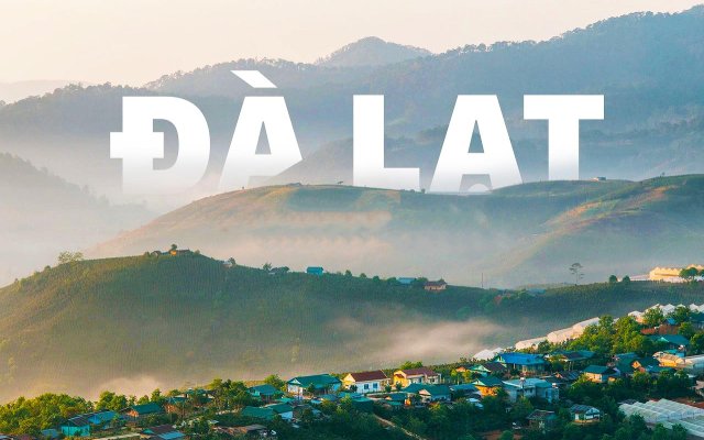 Beautiful hydrangea field in Da Lat