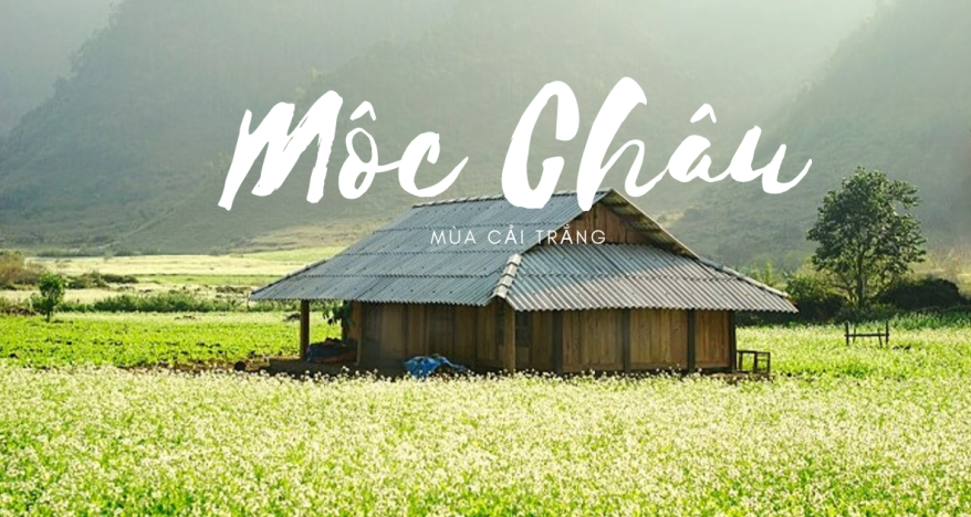 MOC CHAU TOUR 3 DAYS 2 NIGHTS thumbs 0