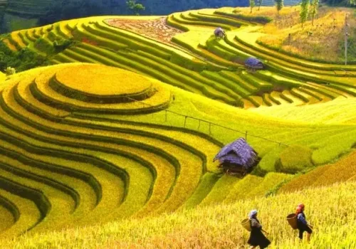 TOUR HA NOI - DIEN BIEN - MOC CHAU - HA NOI