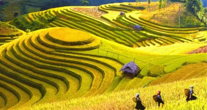 TOUR HA NOI - DIEN BIEN - MOC CHAU - HA NOI thumbs 0